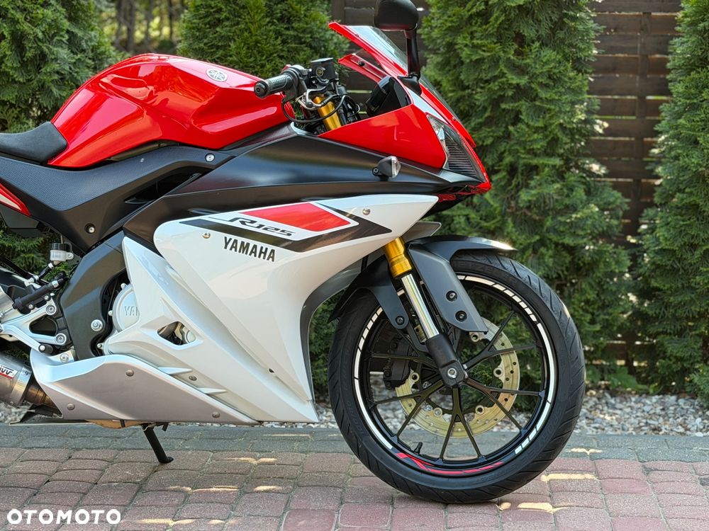 Yamaha YZF - 10