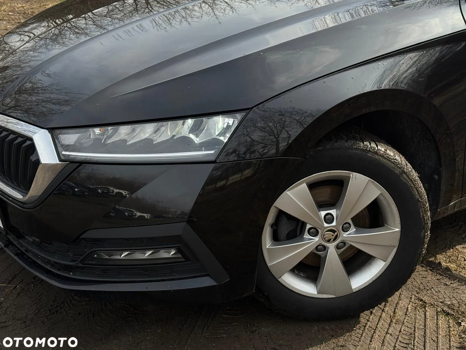 Skoda Octavia 2.0 TDI Ambition DSG - 6
