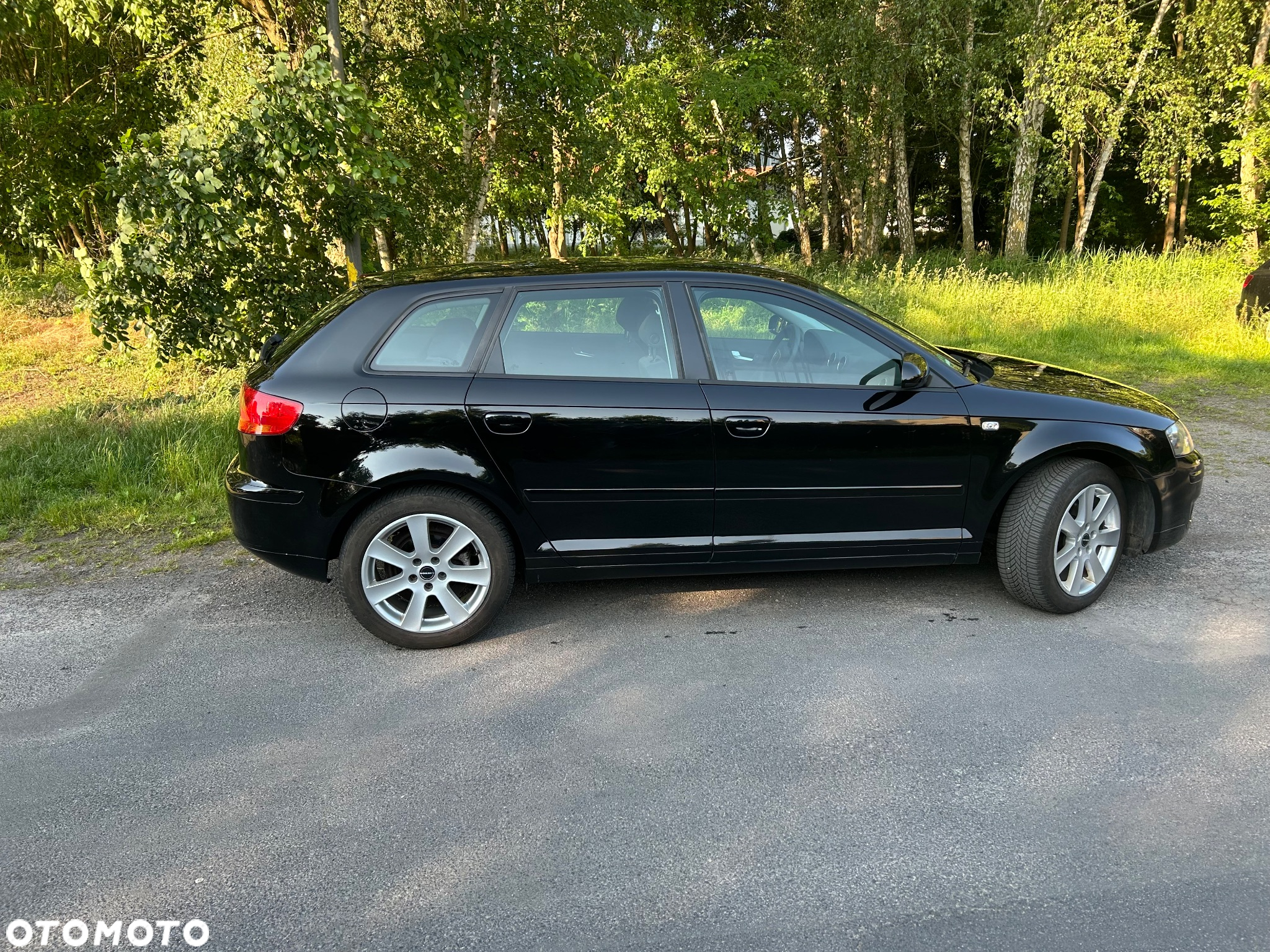 Audi A3 1.6 Sportback Ambition - 19