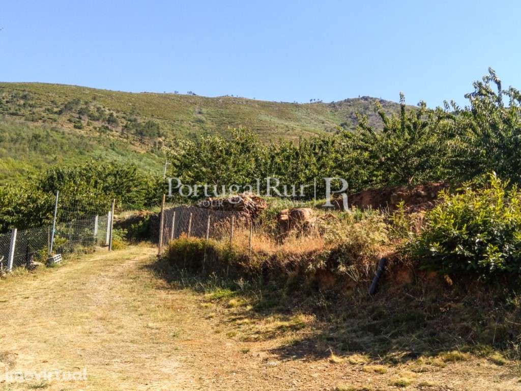 Terreno de 11.100 m² em Alcongosta, na Serra da Gardunha - Grande imagem: 4/36