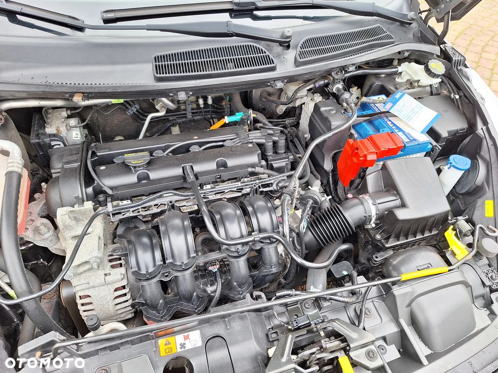 Ford Fiesta - 17