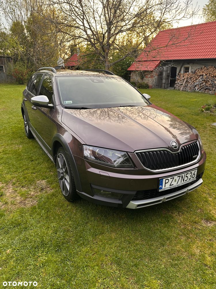 Skoda Octavia 2.0 TDI (Green tec) 4x4 DSG Scout - 3