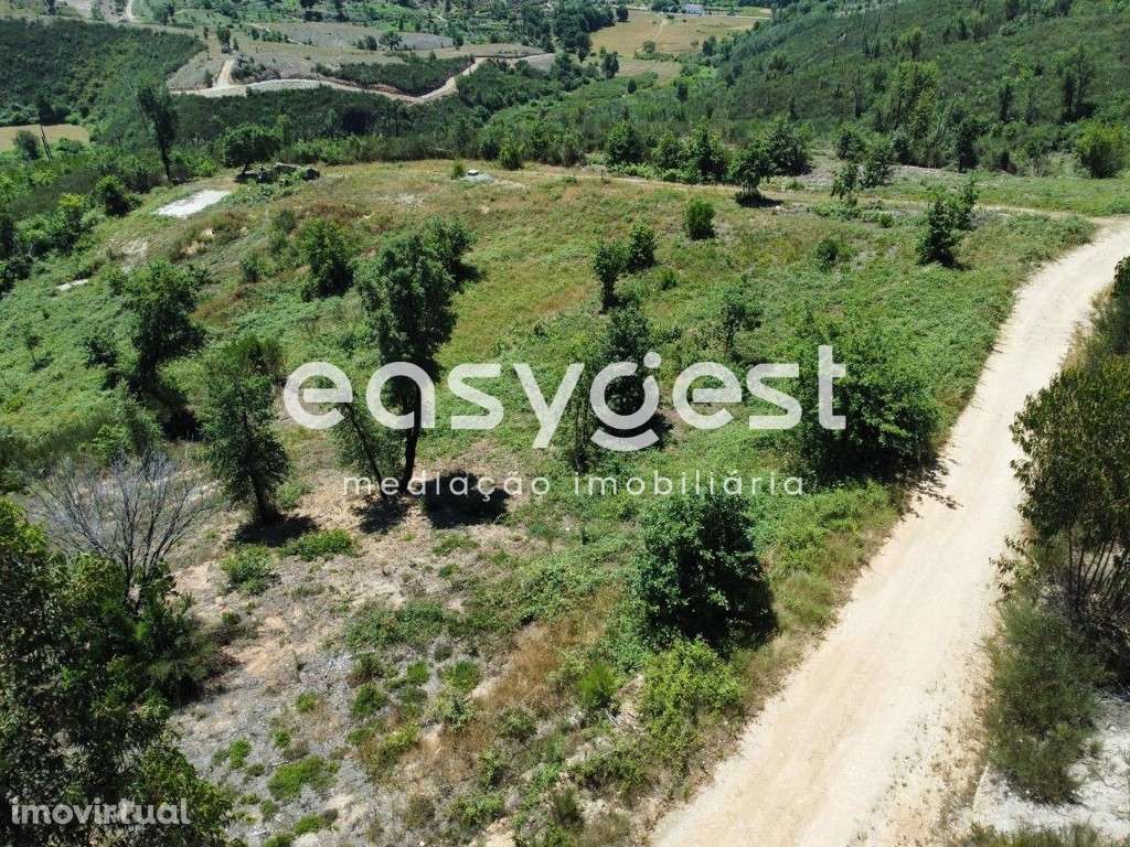 Terreno com 13440 m2, com projeto aprovado para moradia T3 em Côja - Grande imagem: 3/19