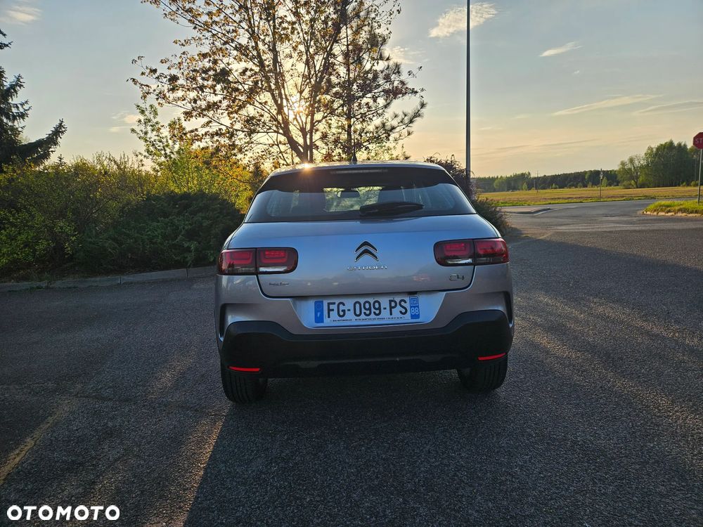 Citroën C4 Cactus 1.5 BlueHDi Shine Pack - 14