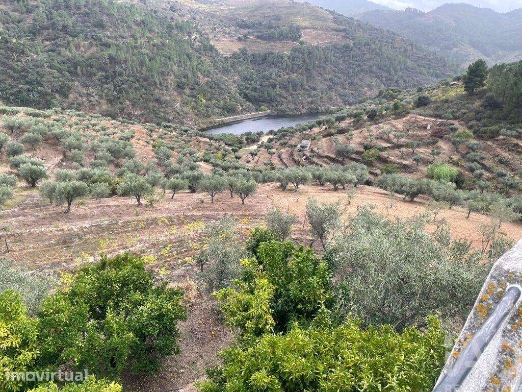 Quinta rural T3 em Carlão e Amieiro de 57566 m2 - Grande imagem: 3/37