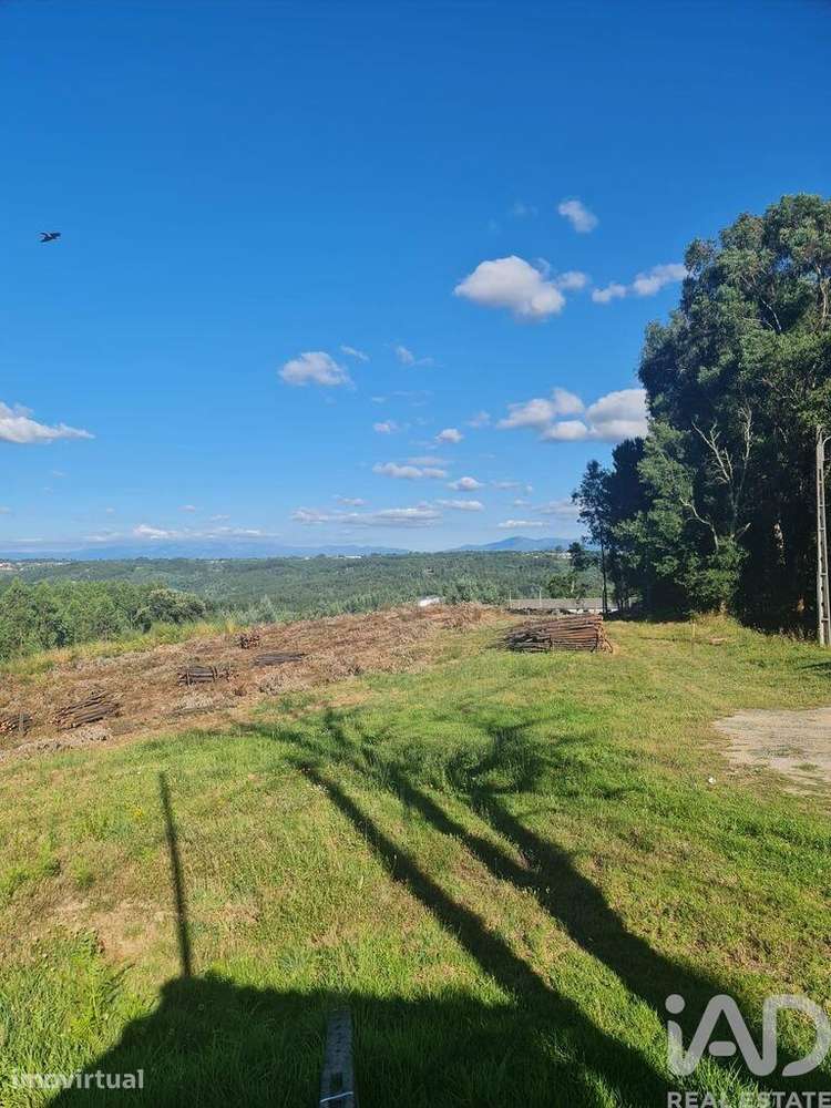 Terreno para construção em Santa Comba Dão e Couto do Mosteiro - Grande imagem: 4/27