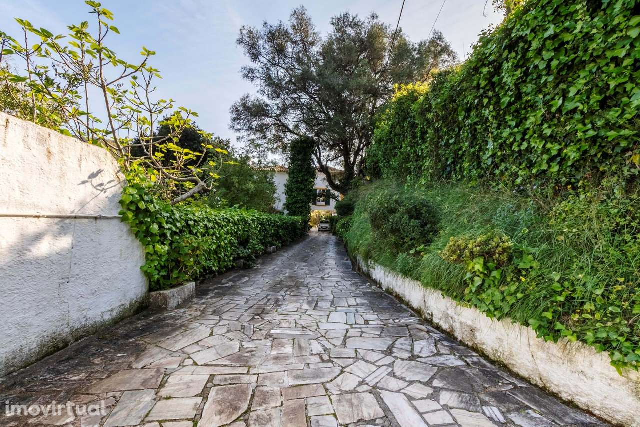 Moradia T6 c/ Terreno de 1600m2 c/ Piscina, Garagem e Anexos em Colare - Grande imagem: 2/60