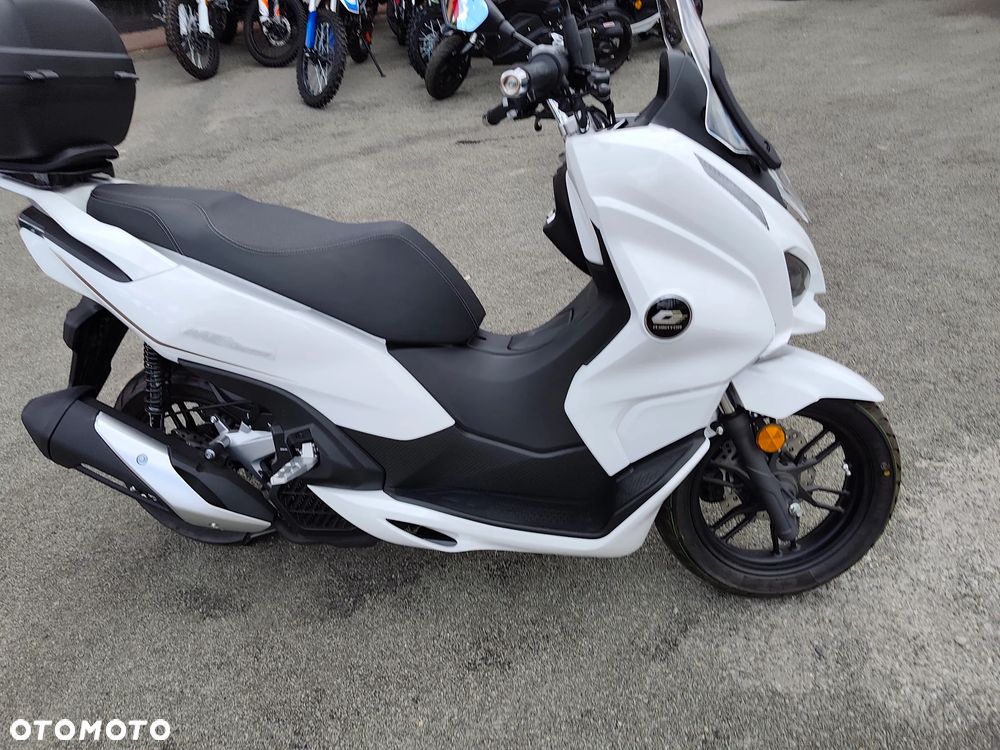 QJMOTOR MTX 125 - 19
