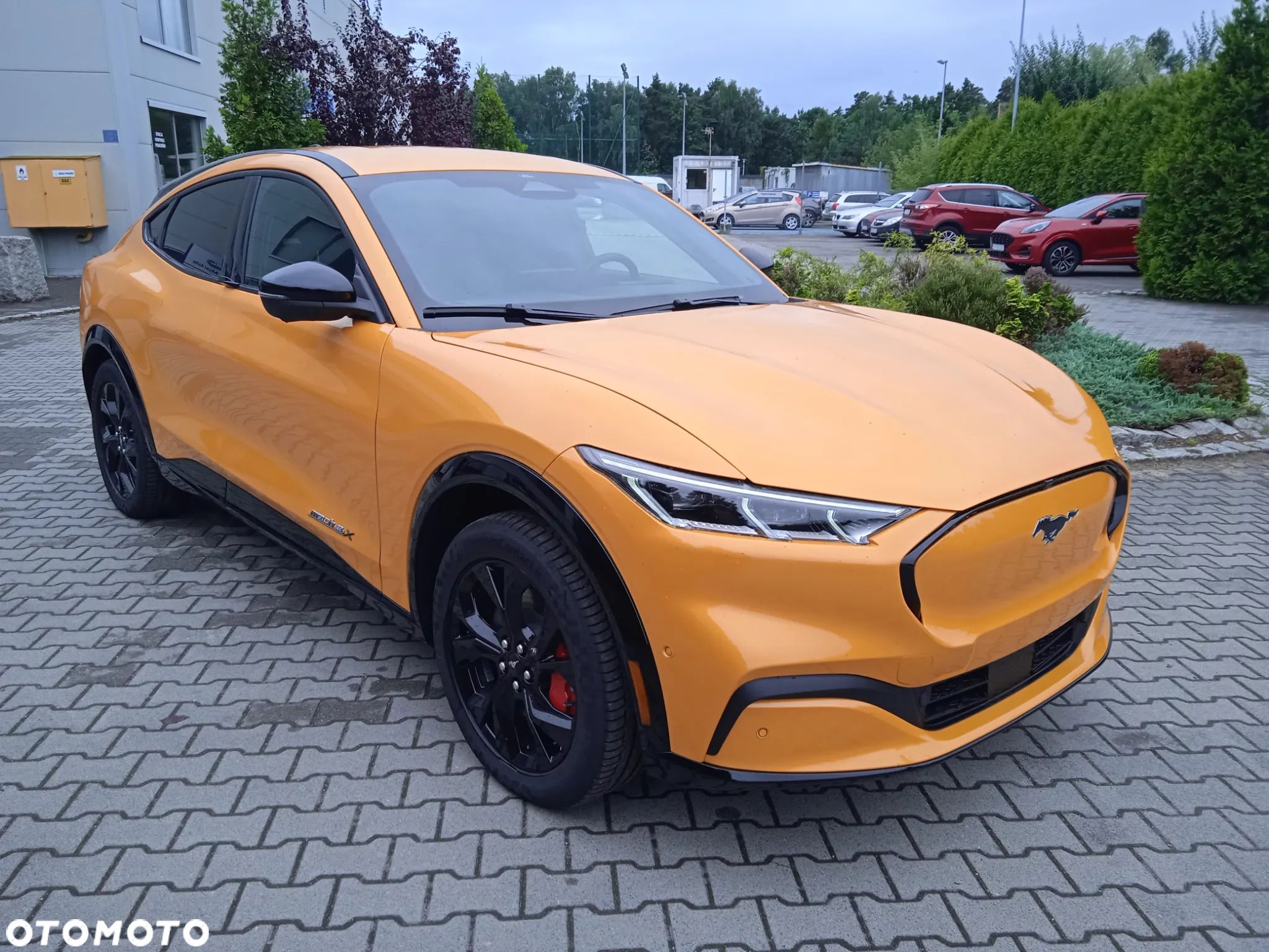 Ford Mustang Mach-E 98kWh AWD Premium - 1
