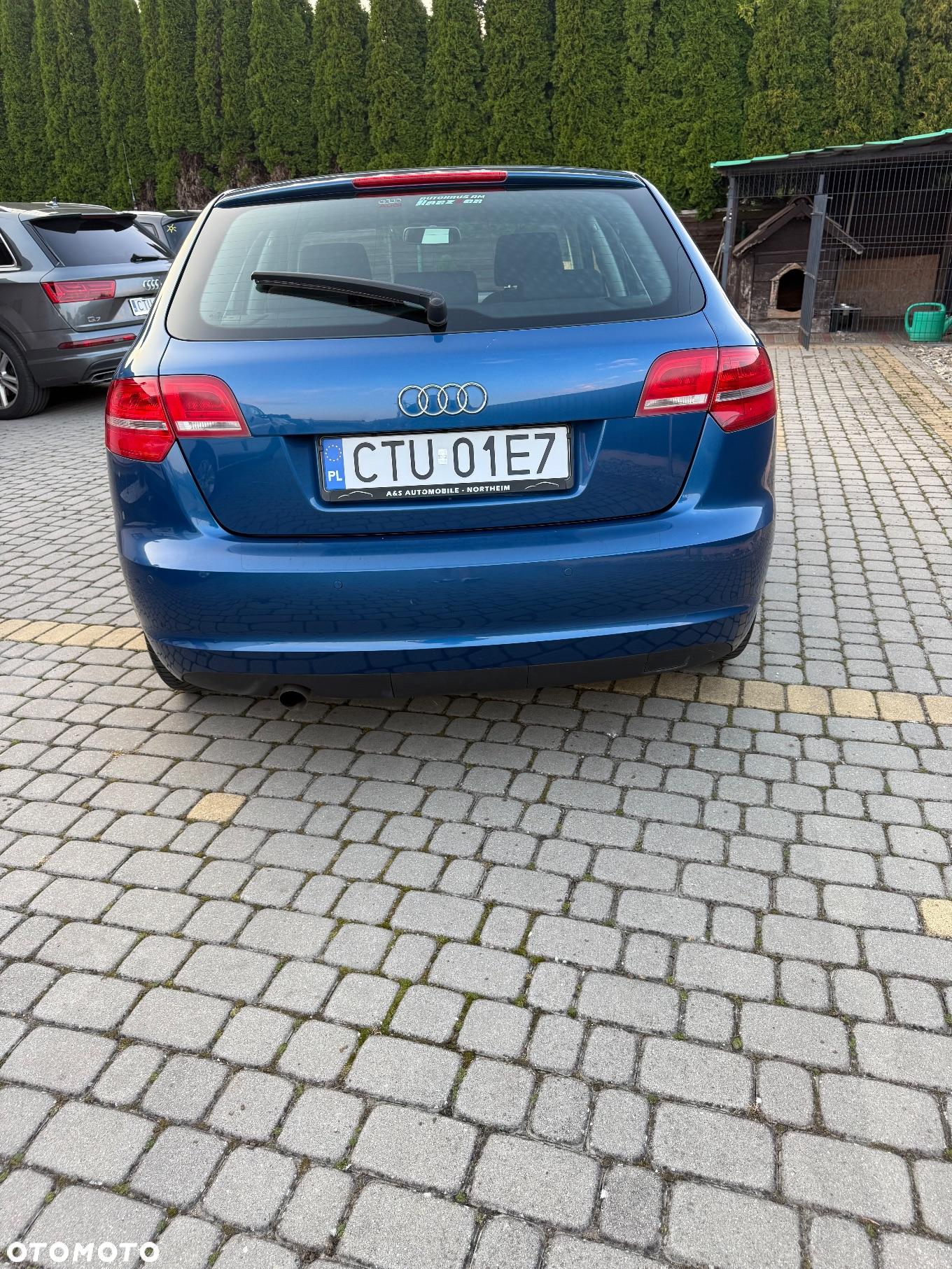 Audi A3 1.6 TDI 99g DPF - 14