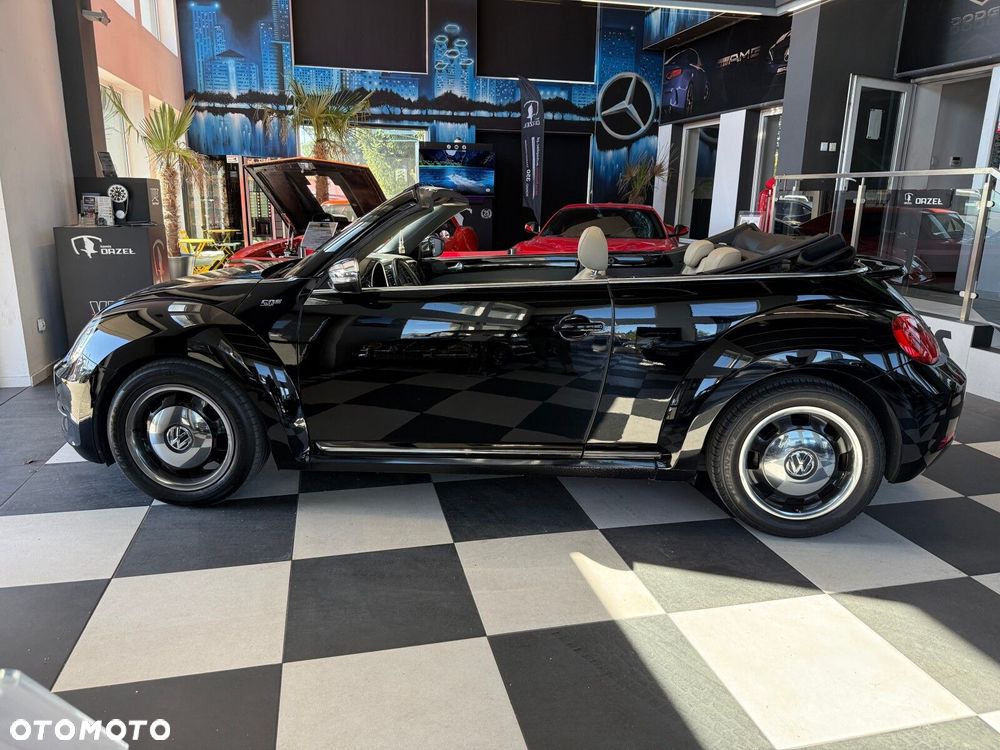 Volkswagen Beetle - 8