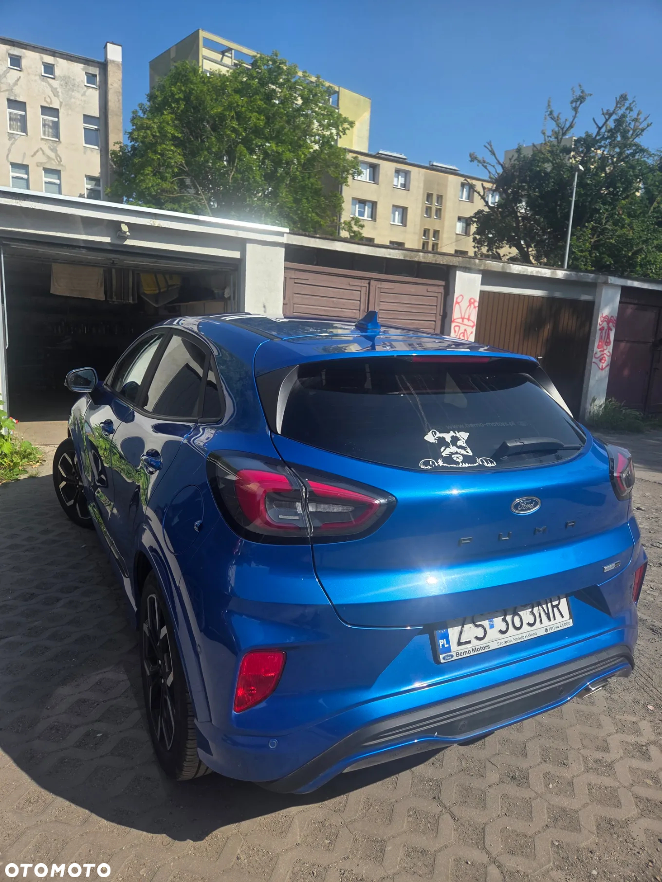 Ford Puma 1.0 EcoBoost mHEV ST-Line X Gold DCT - 18