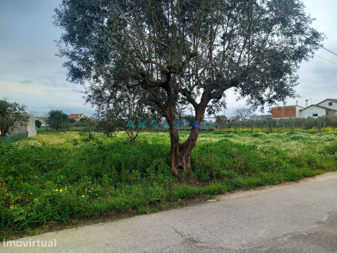 ANG1601 - Terreno para Venda em Vermoil, Pombal - Grande imagem: 5/6