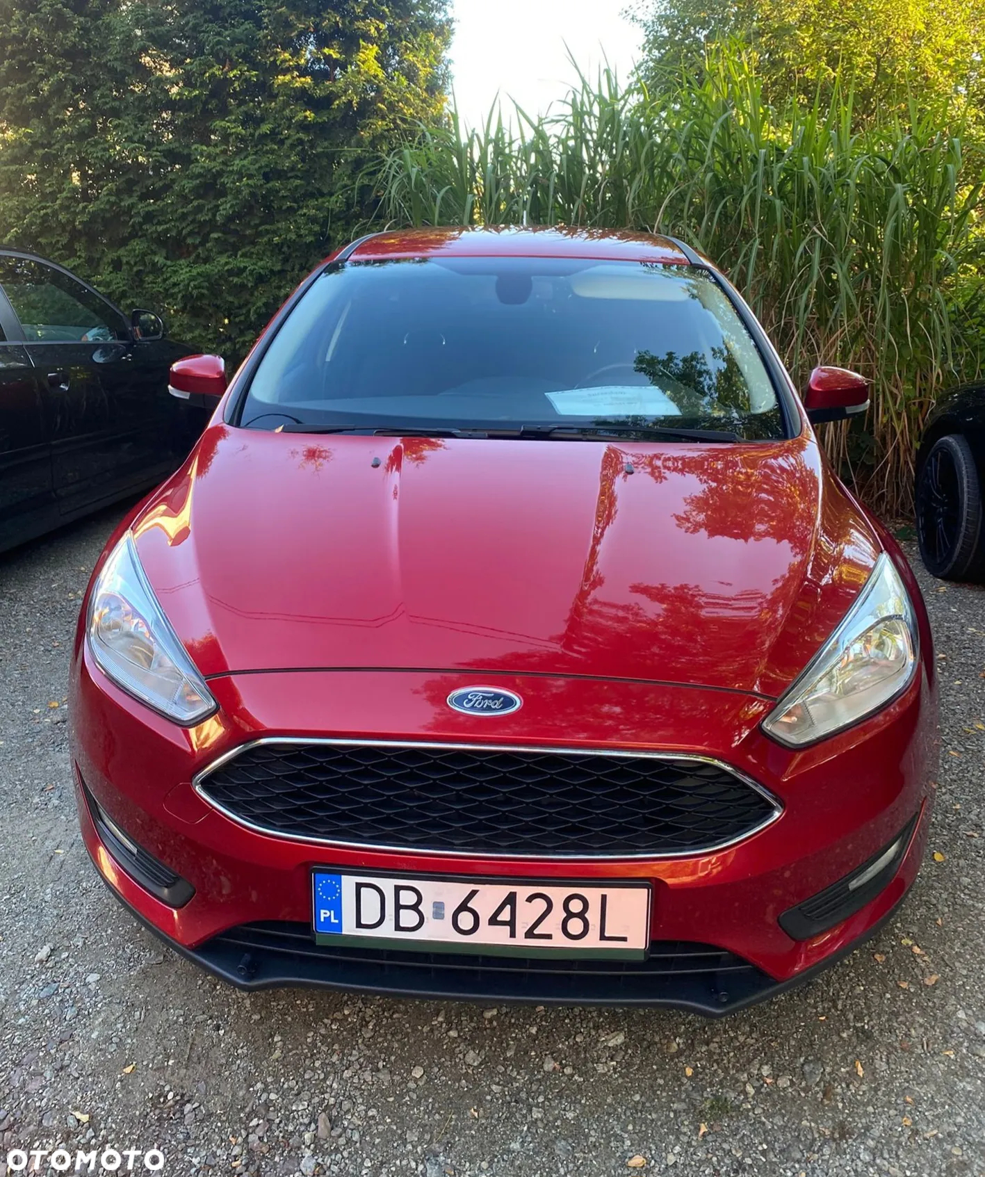 Ford Focus 1.5 TDCi Red Edition - 7
