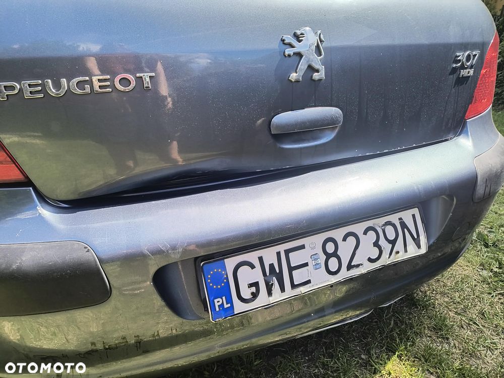 Peugeot 307 1.6 HDi - 7