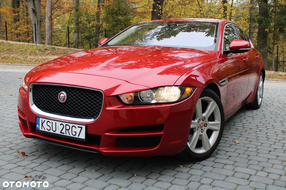 Jaguar Xe 2017 photo 4