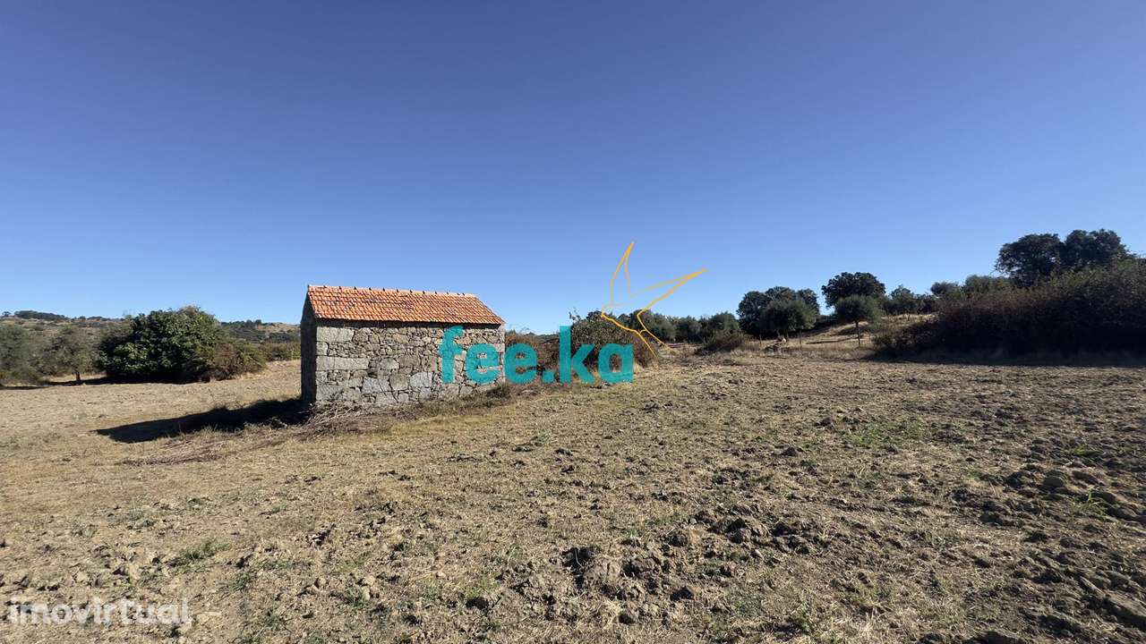 Terreno c/ Construção Rural - Grande imagem: 2/29