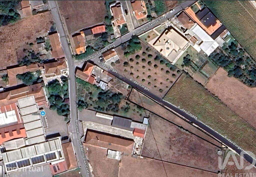 Terreno em Avanca - Grande imagem: 5/5
