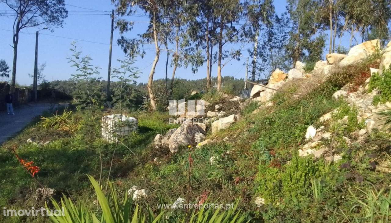 Venda de Terreno, Vila de Punhe, Viana do Castelo - Grande imagem: 2/28