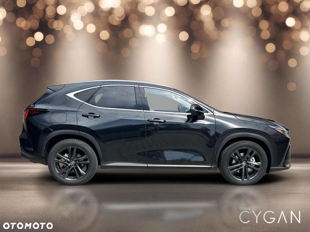 Lexus NX - 8