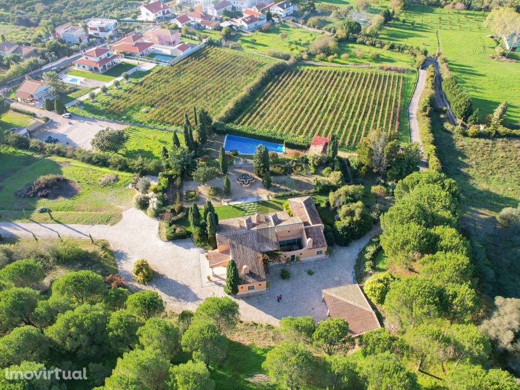 Quinta com Piscina e Vinha para Venda em Azeitão, Arrábida - Grande imagem: 3/60