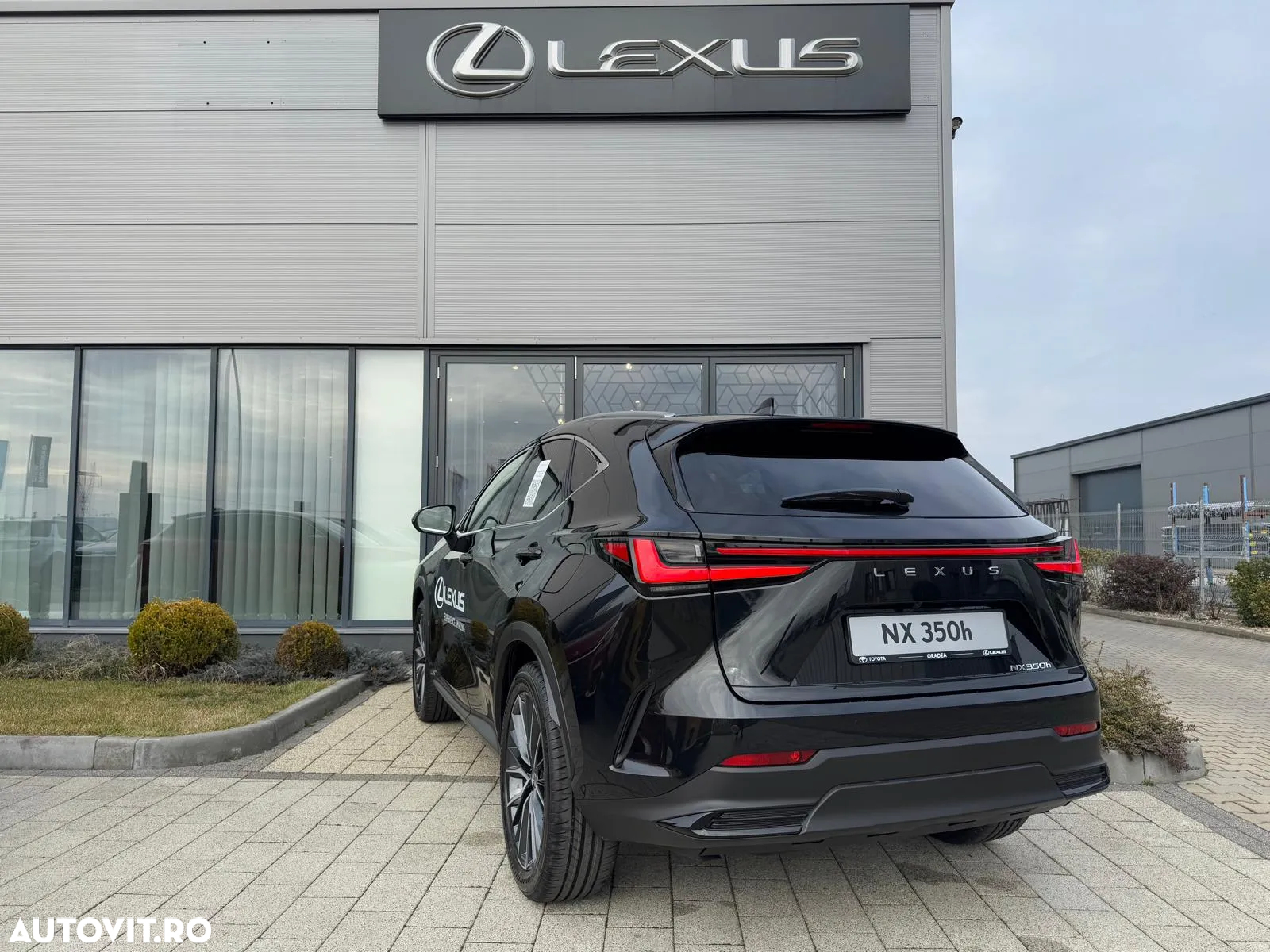 Lexus Seria NX 350h AWD CVT HEV Luxury - 14