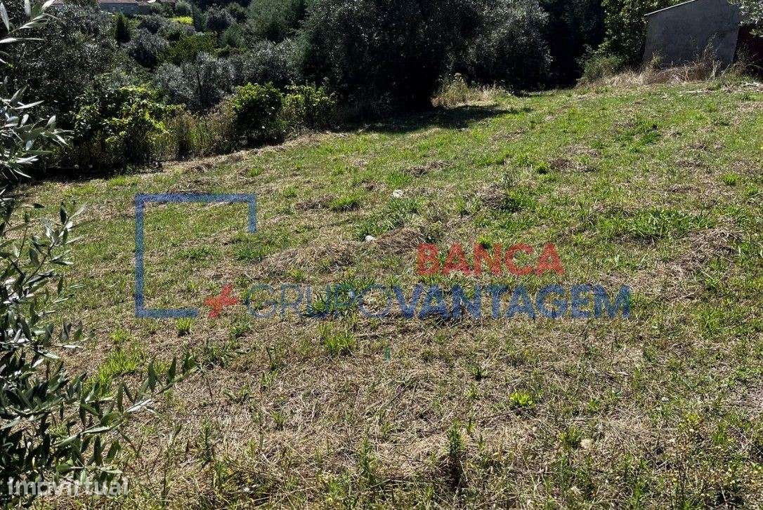 Terreno Rustico em Vila Nova de Poiares - Grande imagem: 4/11