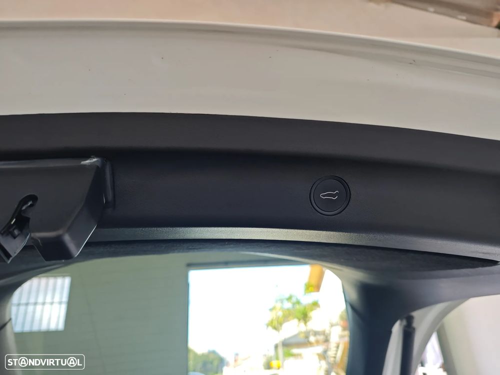 Tesla Model Y Performance Dual Motor AWD - 25