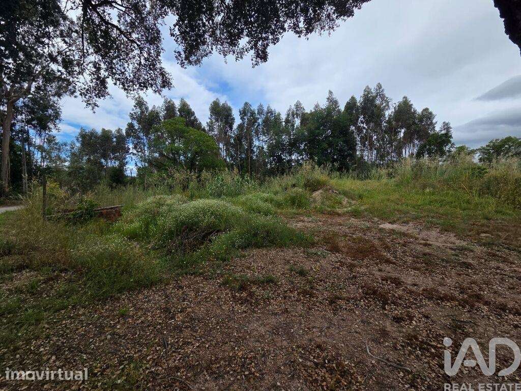 Terreno em São Joaninho - Grande imagem: 2/6
