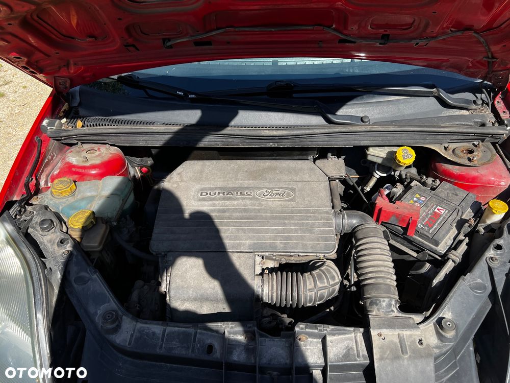 Ford Fiesta 1.3 X100 / FX Gold - 21