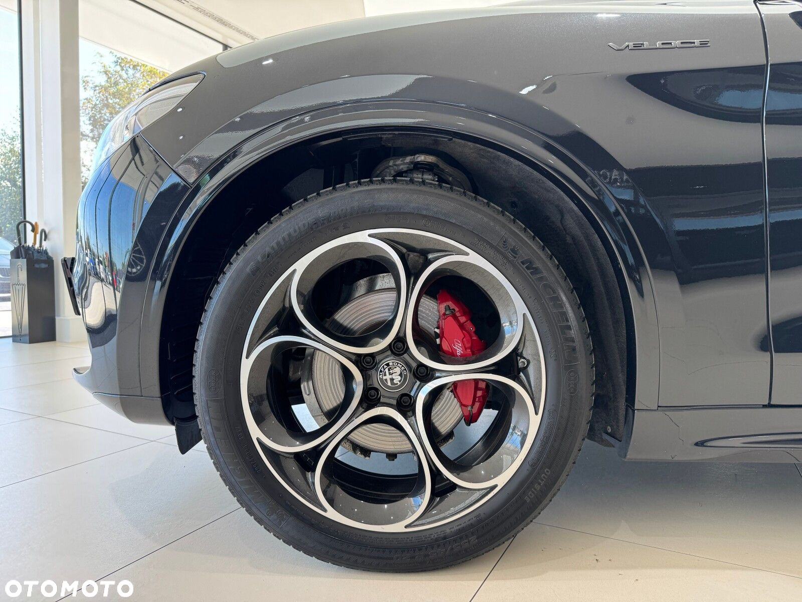 Alfa Romeo Stelvio 2.0 Turbo Veloce Q4 - 19