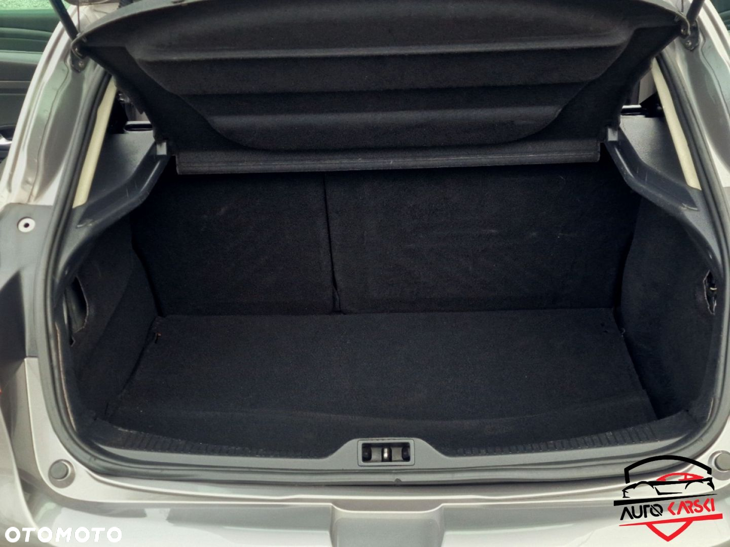 Renault Megane - 19