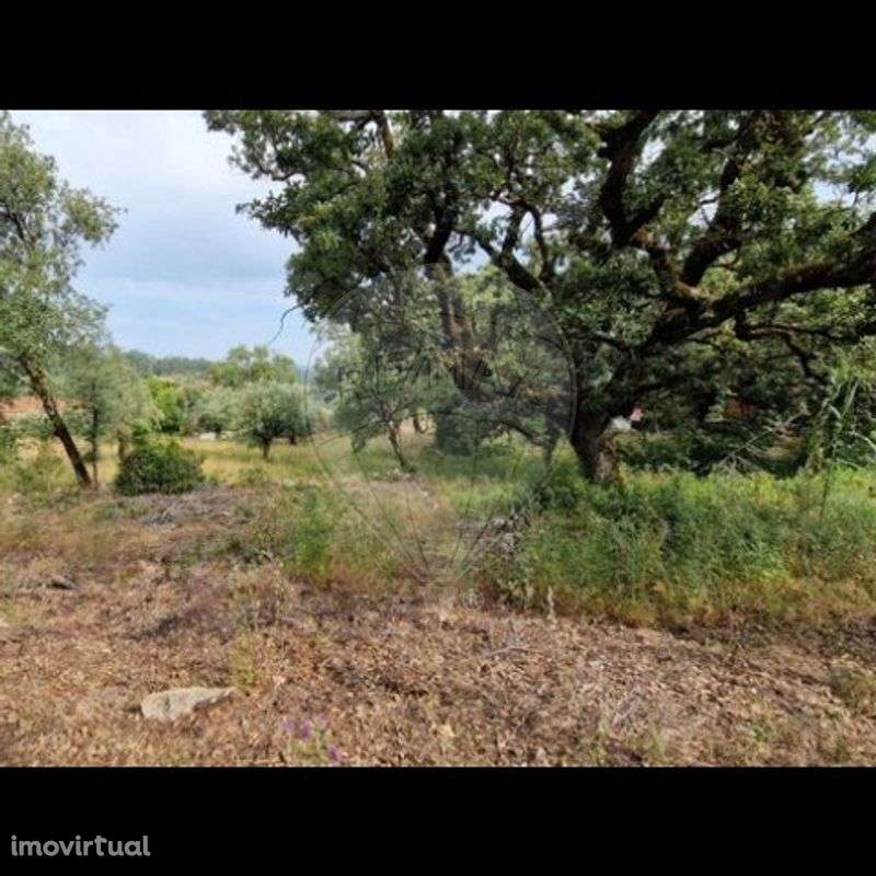 Terreno  para venda - Grande imagem: 4/4