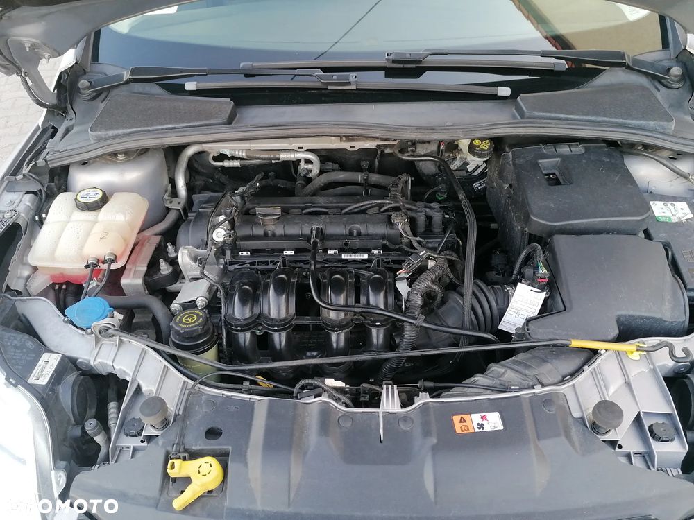 Ford Focus - 18