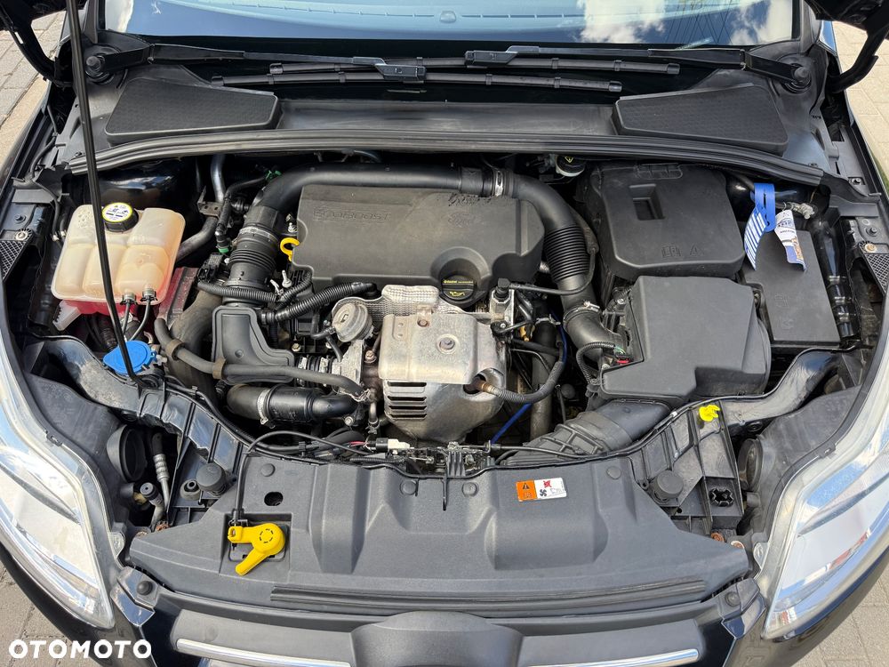 Ford Focus - 24