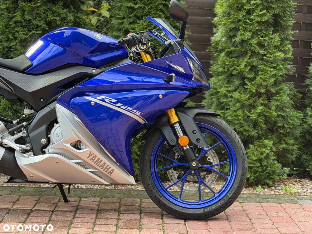 Yamaha YZF - 10