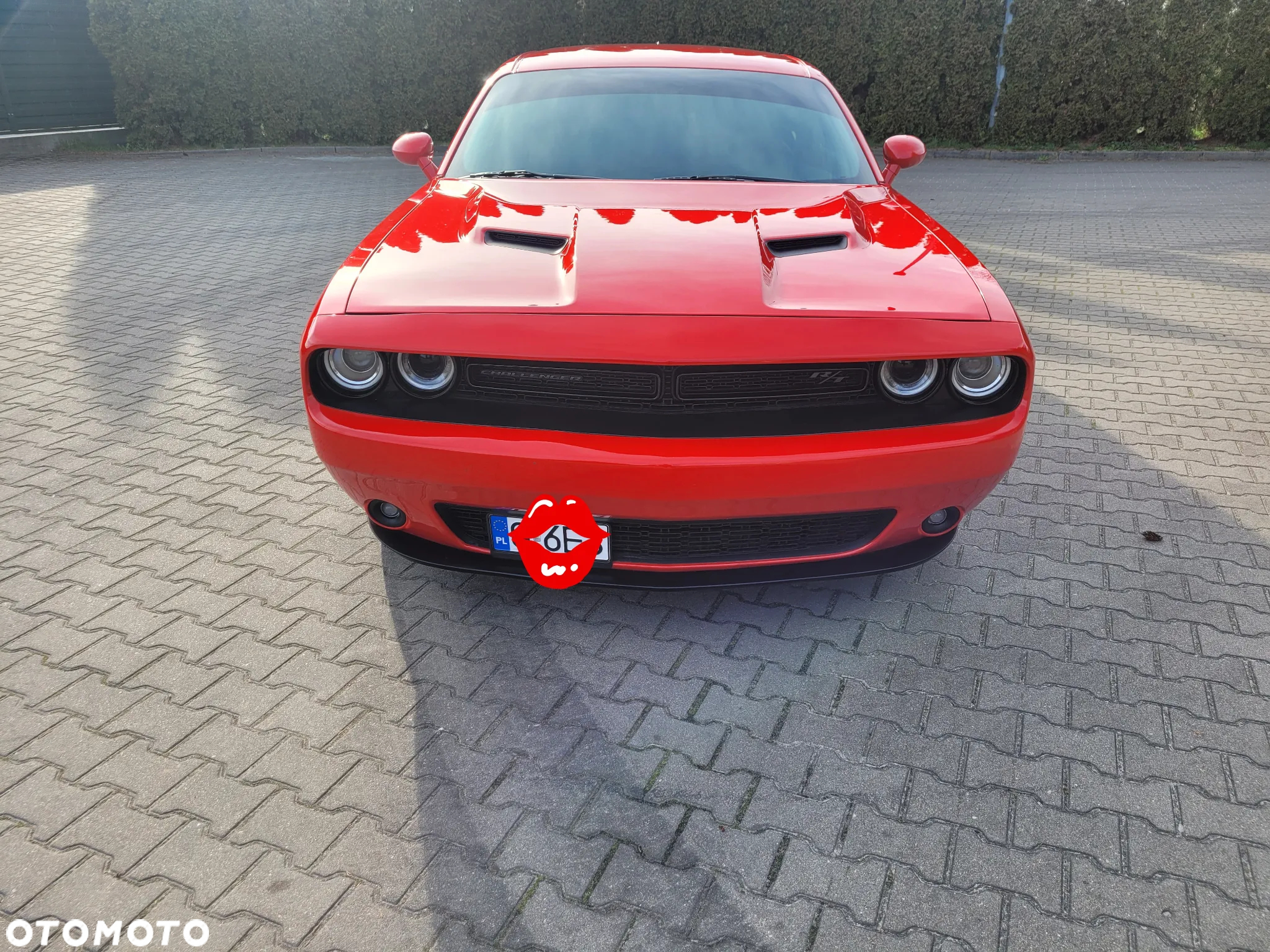Dodge Challenger Automatik R/T Plus - 4
