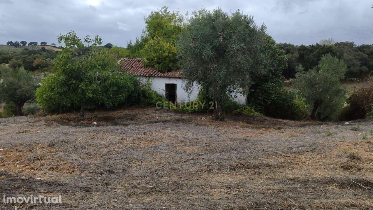 Casas antigas para Recuperação, com terreno em São Vicente do Paul, Sa - Grande imagem: 5/22