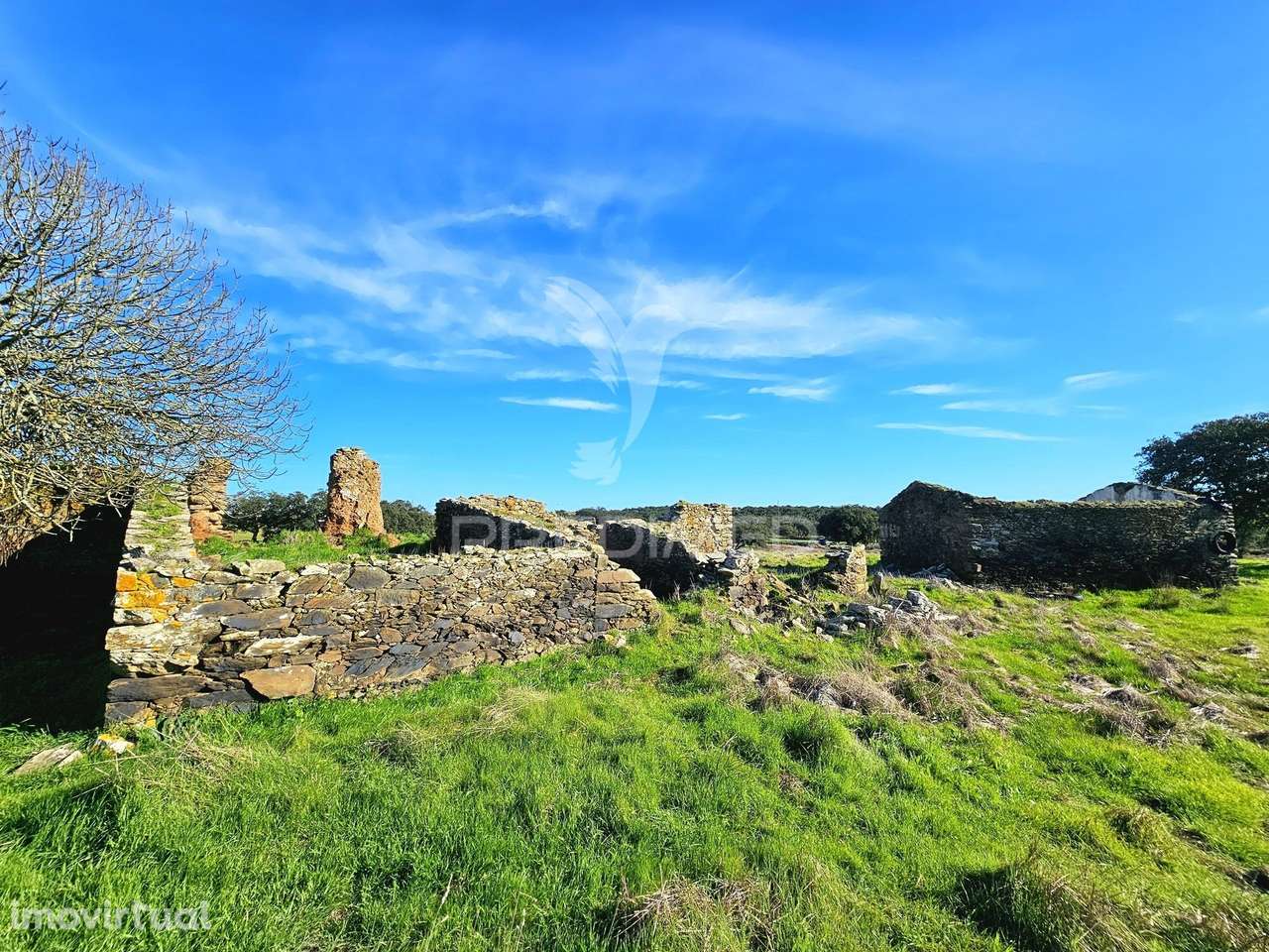 Terreno com 4,3 ha e Ruínas no concelho de Ourique - Grande imagem: 5/17