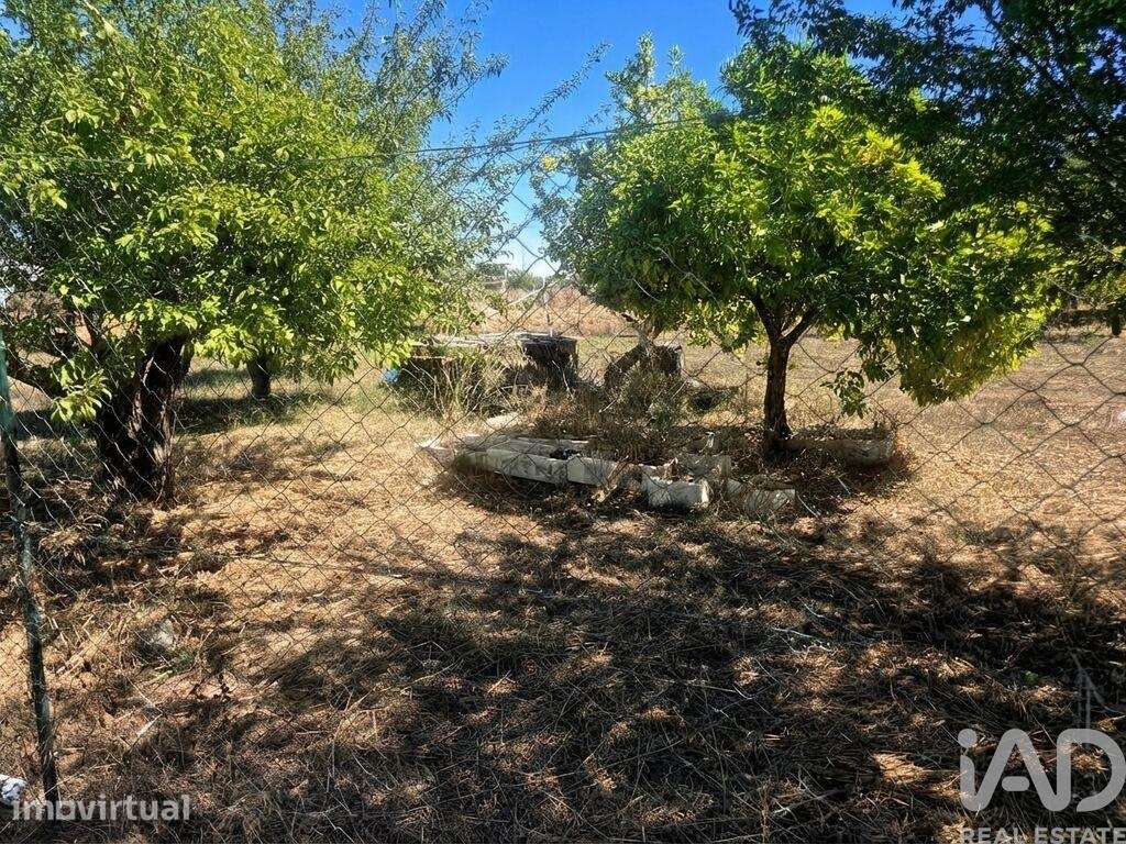 Casa de Campo T4 em Castanheira do Ribatejo e Cachoeiras de 133,5 m2 - Grande imagem: 5/29