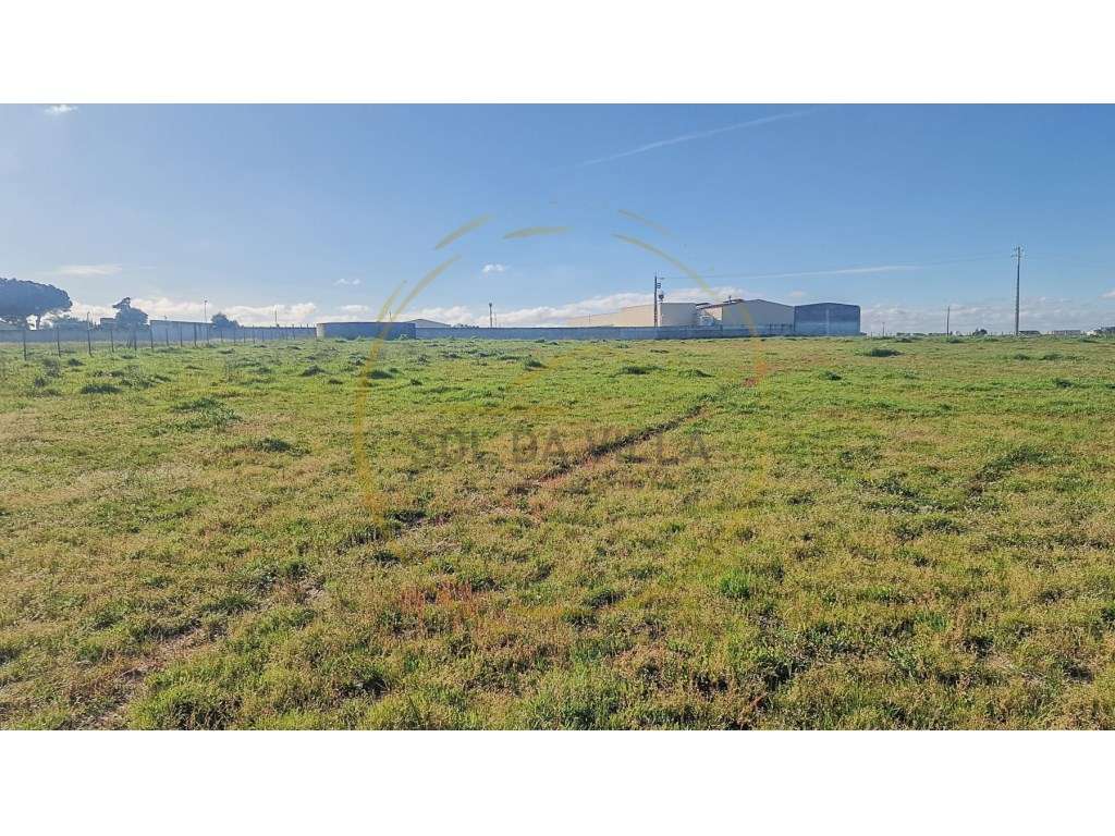 Terreno Sarilhos Grandes - Montijo - 159.900€ - Grande imagem: 3/8