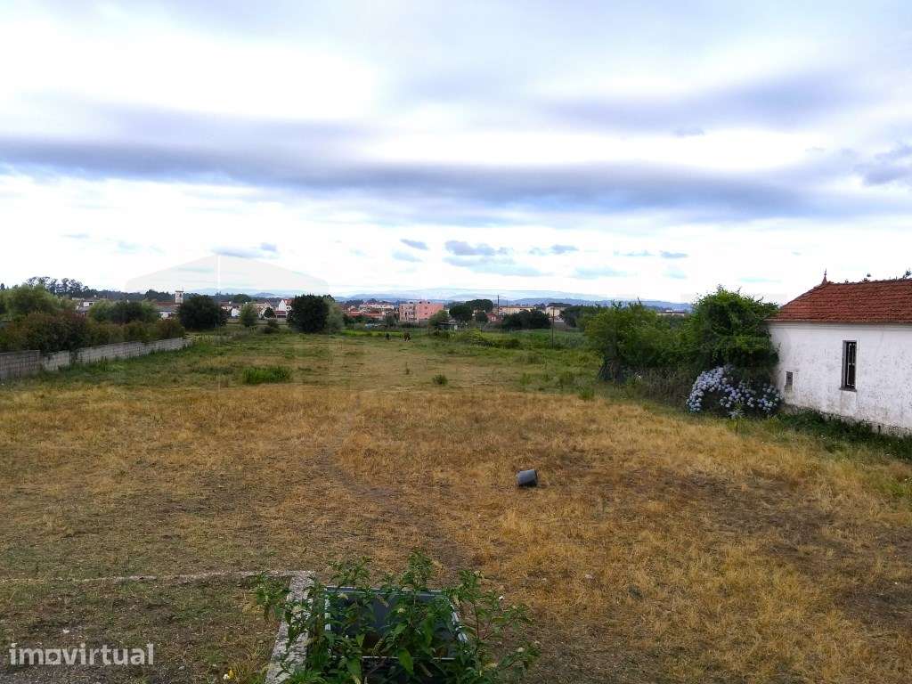 Terreno com 17m de frente - Estarreja - Grande imagem: 5/9