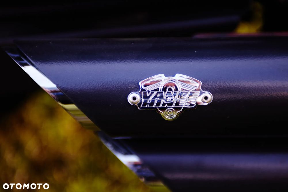 Harley-Davidson Sportster Iron 883 - 13