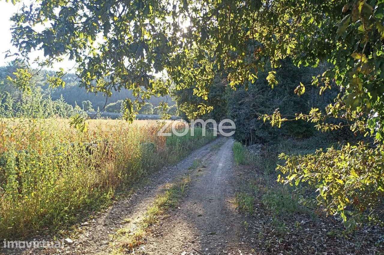 Terreno com 20.655m2 e Ruína com 452m2 em Covelas - Trofa - Grande imagem: 5/22