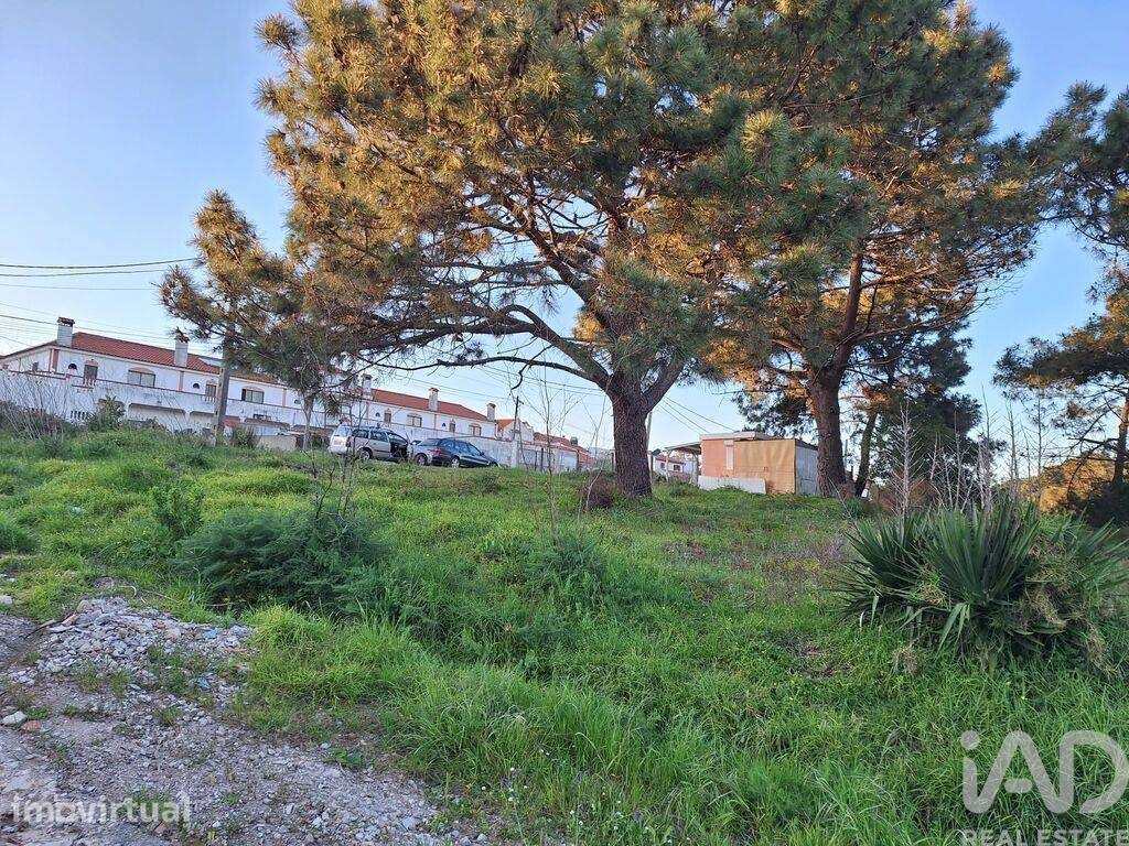 Terreno Agrícola em Caparica e Trafaria - Grande imagem: 3/12