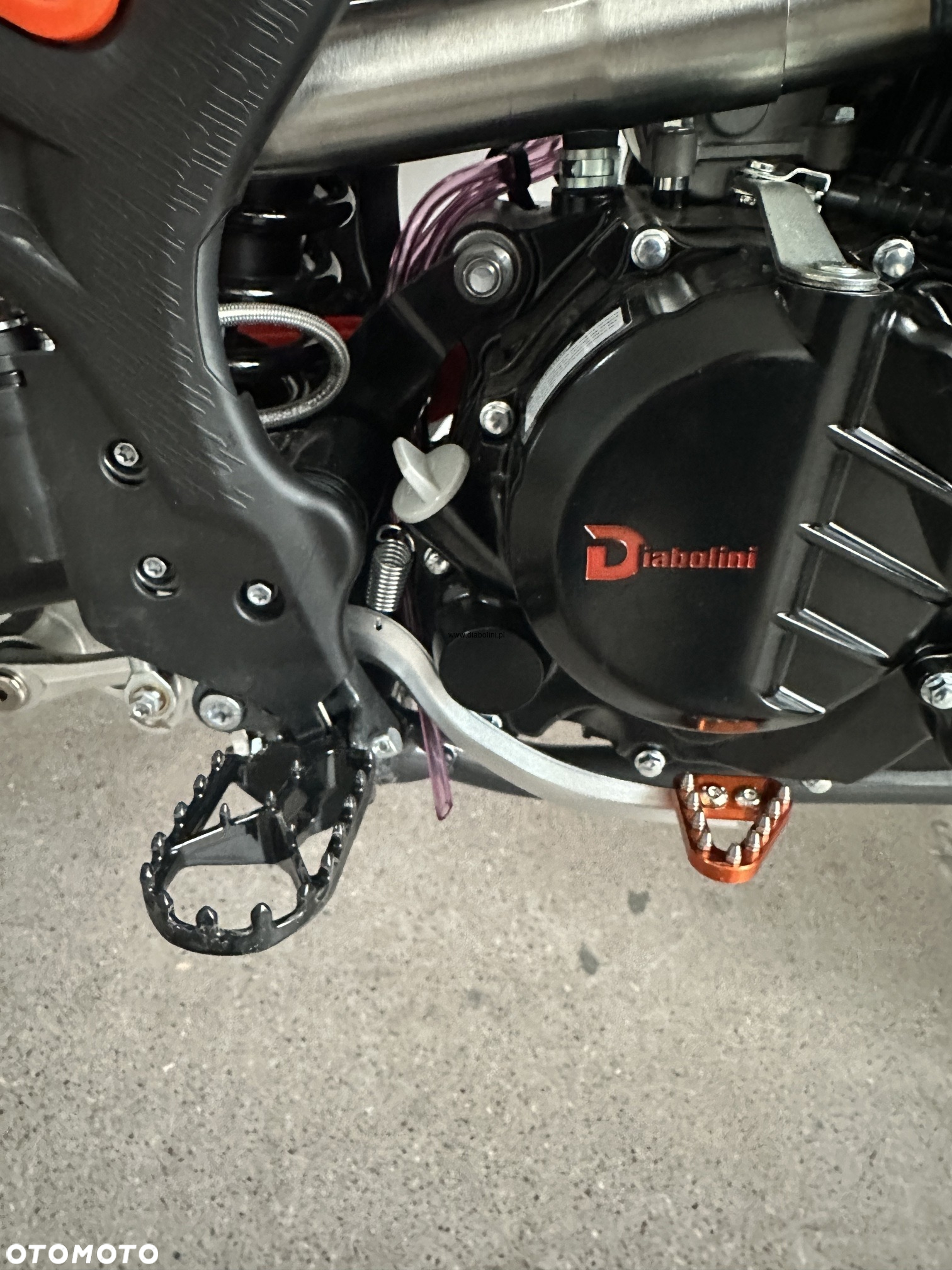 Diabolini Inny - 6