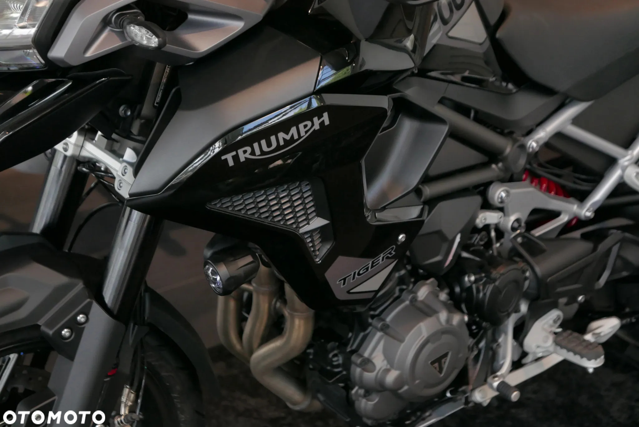Triumph Tiger - 5