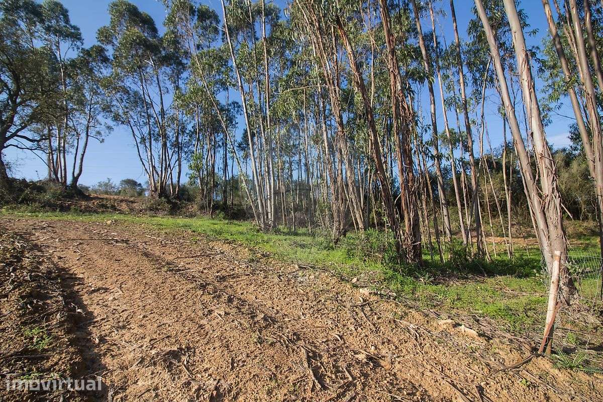Terreno  para venda - Grande imagem: 4/23