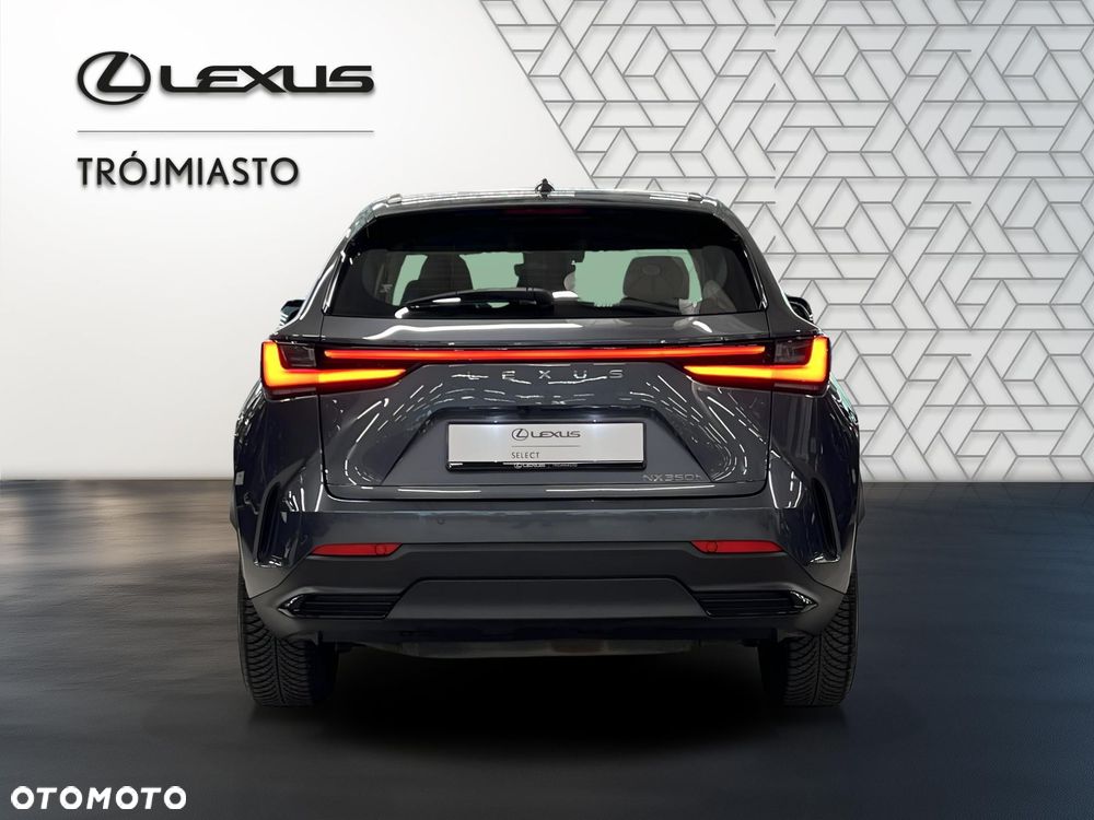 Lexus NX 350h Business AWD - 5