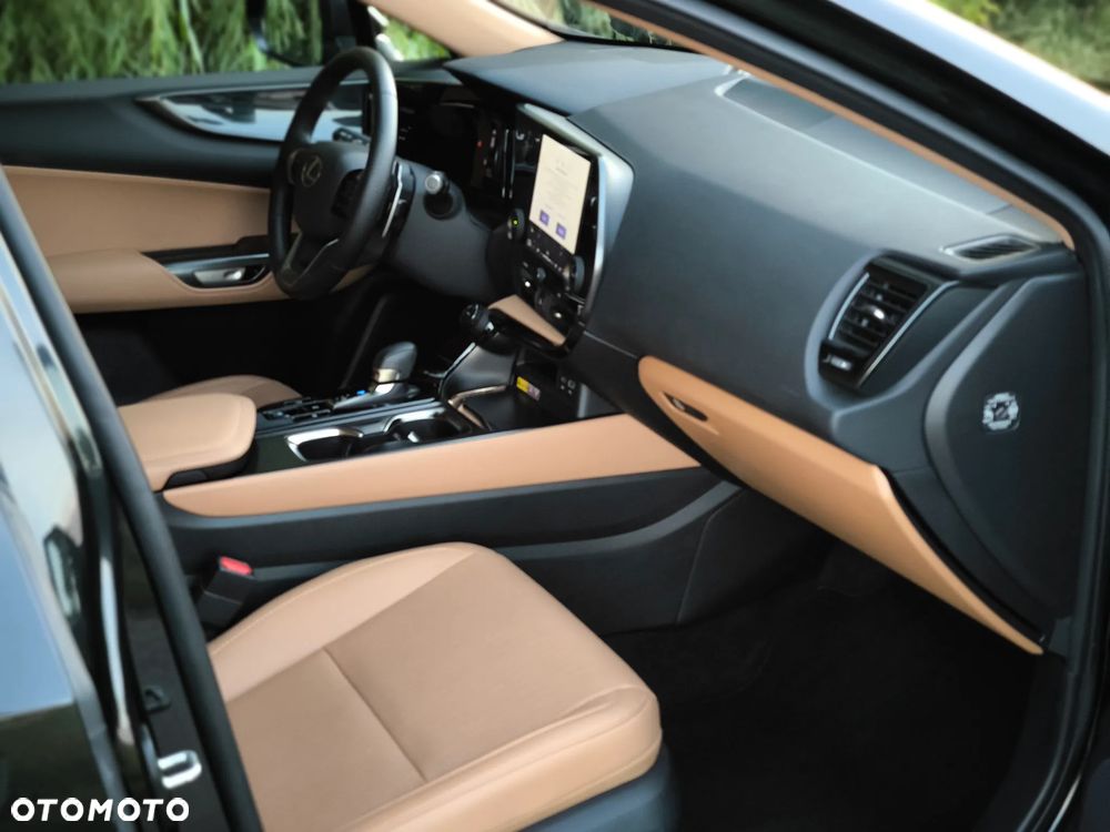 Lexus NX - 18